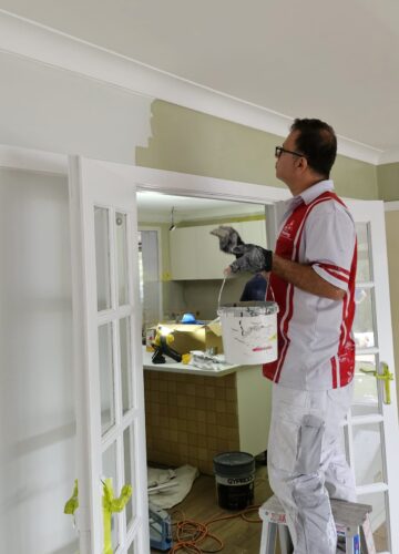 Spring Into Colour: 2025’s Freshest Painting Trends
